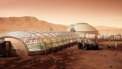 ناسا تعلن عن تجربة لزراعة الخضروات على القمر | تكنولوجيا وسيارات